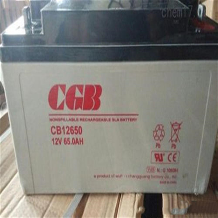 长光蓄电池CB122000/12V200AH机房维保免费更换检测