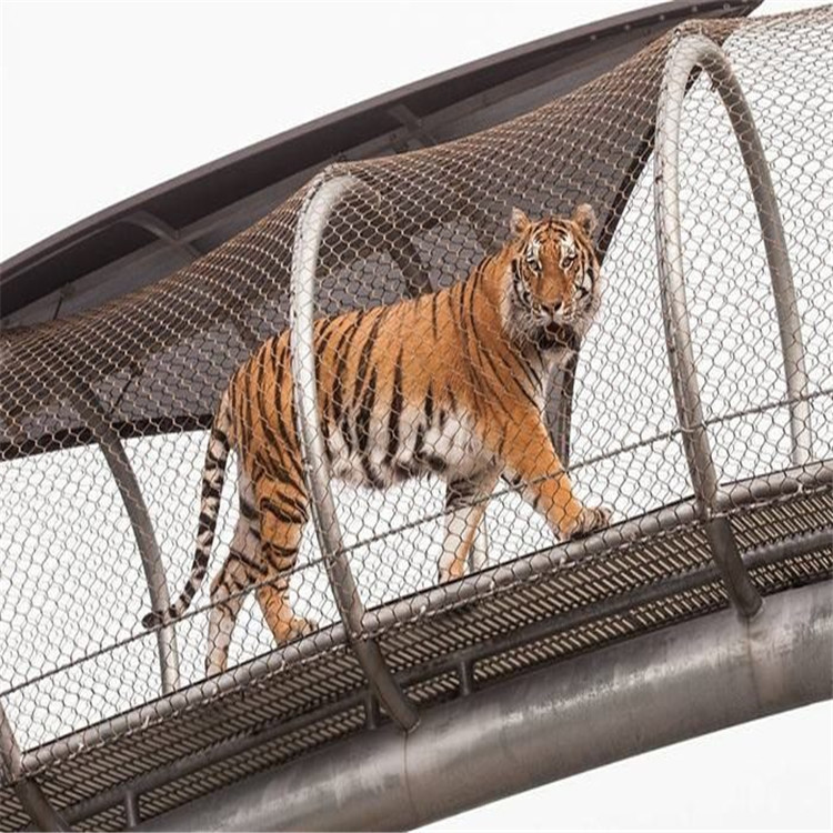 动物通道防护网，动物园高空走廊防护网，环状通道围网