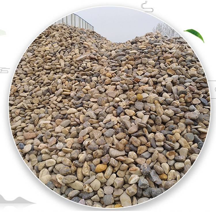 厂家直销 **杂色鹅卵石 变压力污水处理 鹅卵石滤料 园林铺路鹅卵石