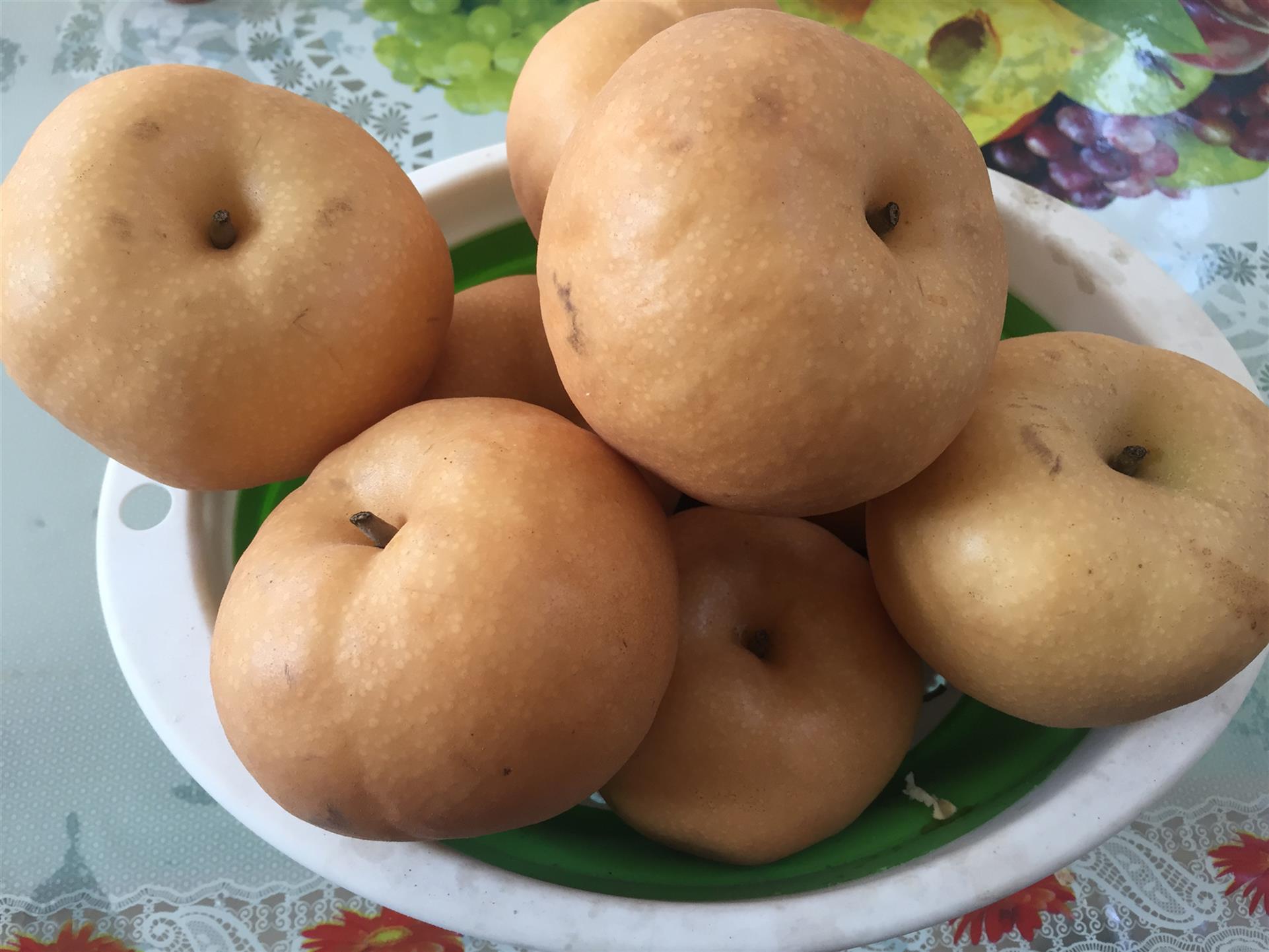 遵義梨苗生產(chǎn)基地