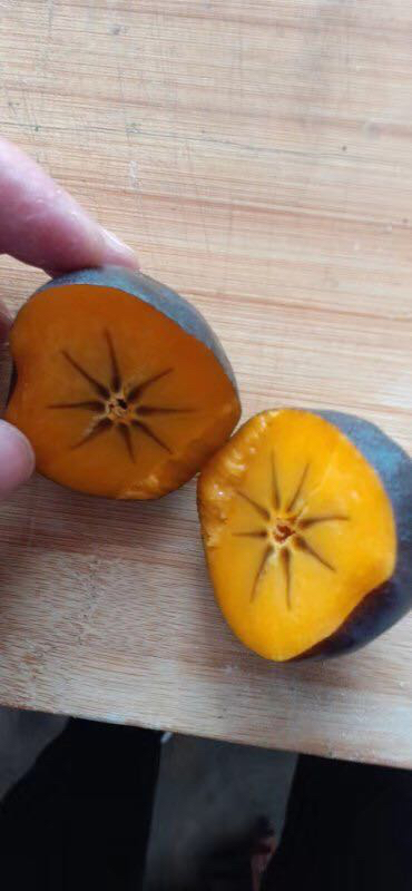 出售 柿子苗報(bào)價(jià)表