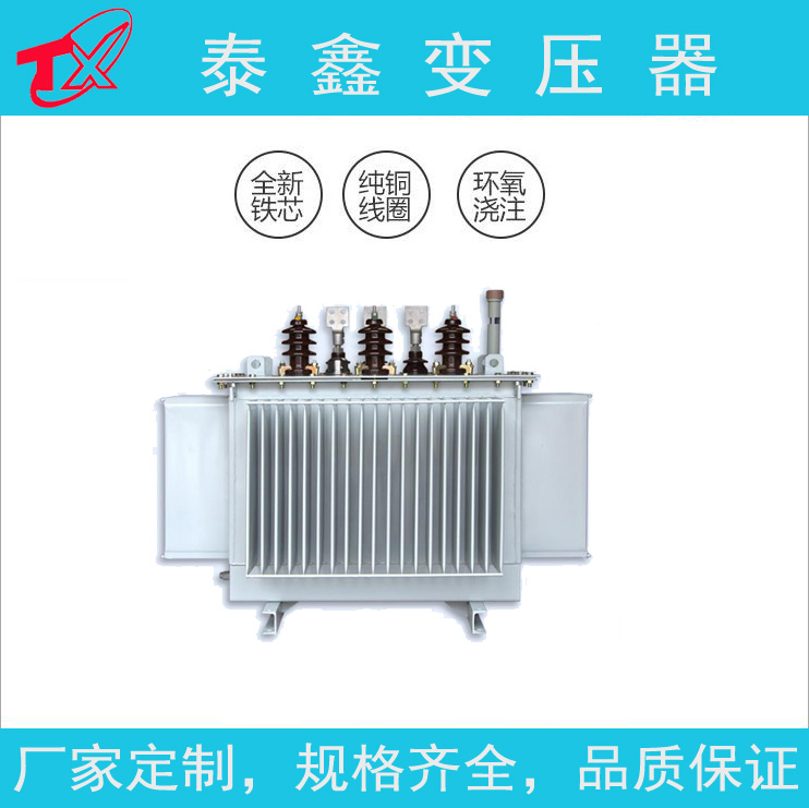 通山油浸式变压器 河南省泰鑫电气有限公司