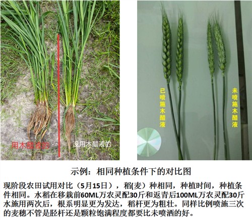 农用木醋液微肥 江西金糠新材料生产基地供应