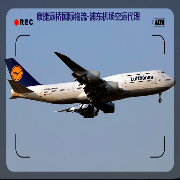 北京承接圣彼得堡空运公司