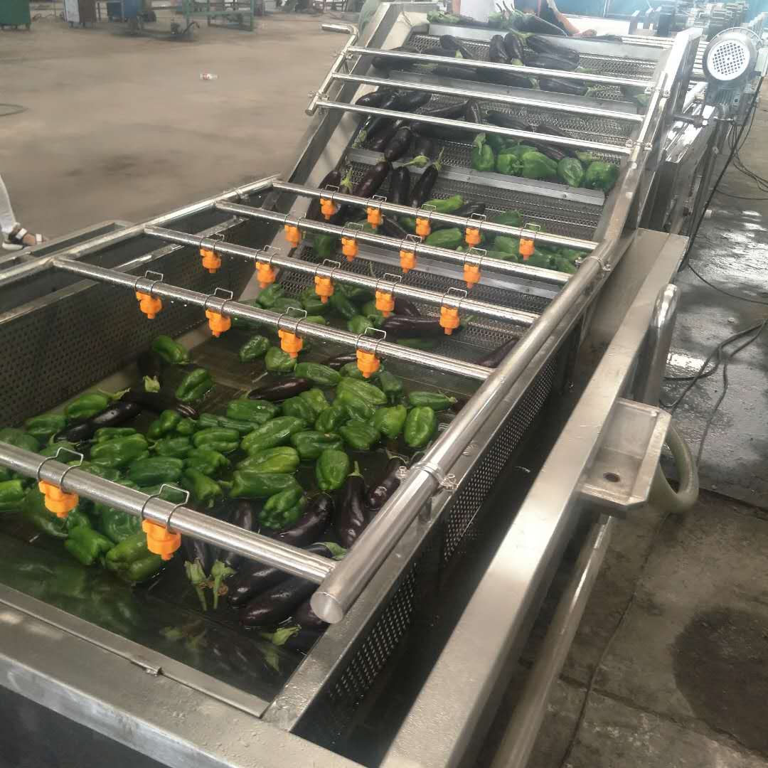 热卖水果蔬菜气泡清洗机流水线设备厂家直销