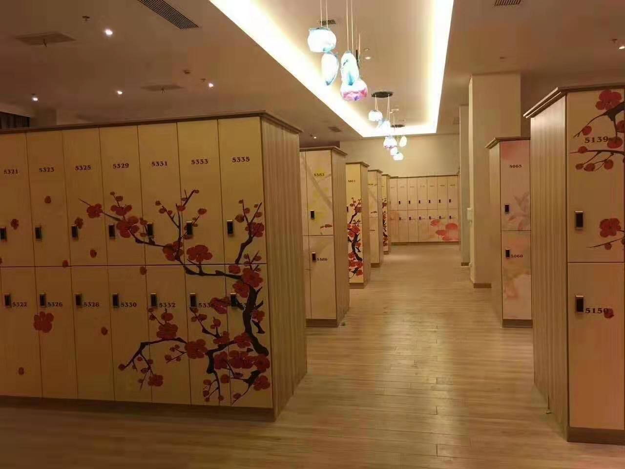 青岛特色温泉立式储物柜