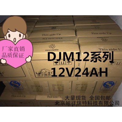 理士蓄电池DJM12系列 12V24AH铅酸免维护蓄电池照明系统**