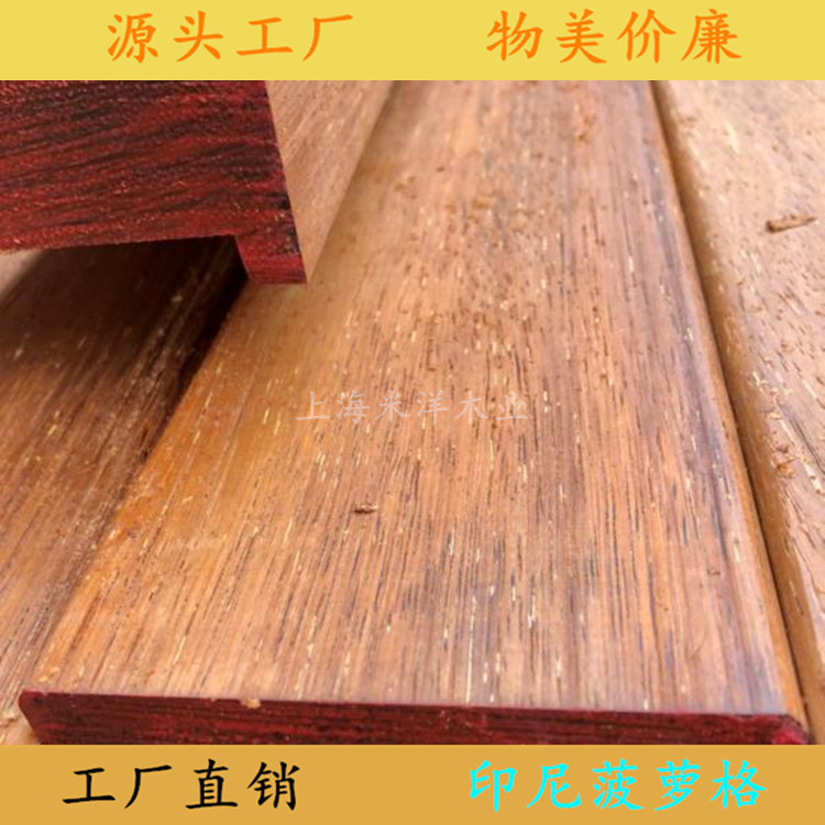 无节红雪松
