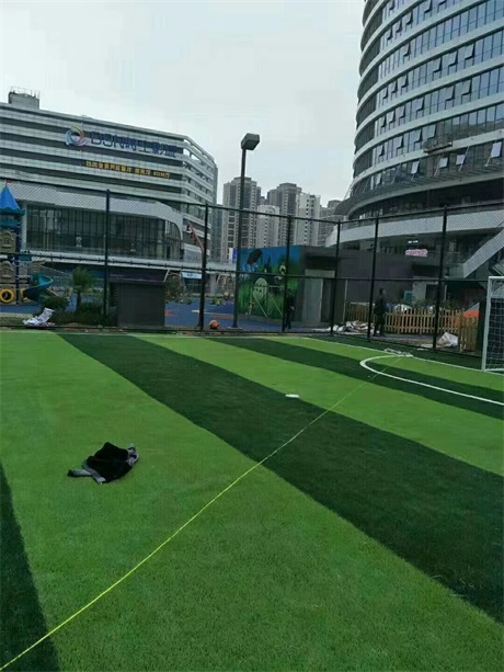 江苏球场人造草坪