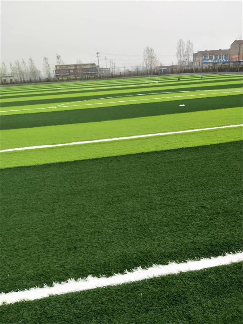 杭州球场人造草坪