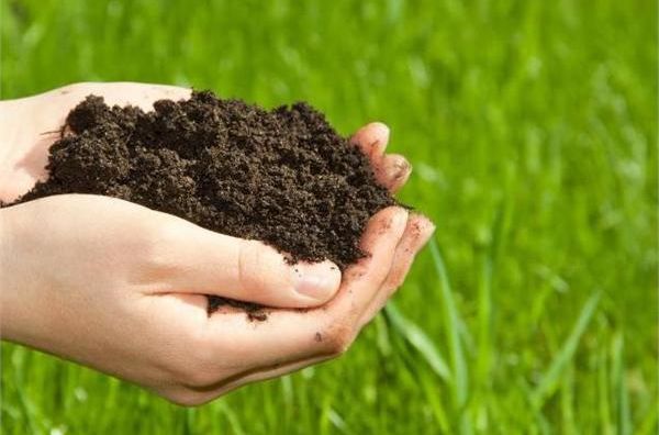 杭州果园种植土壤检测公司