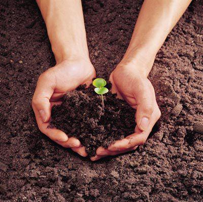 青岛种植土壤检测公司