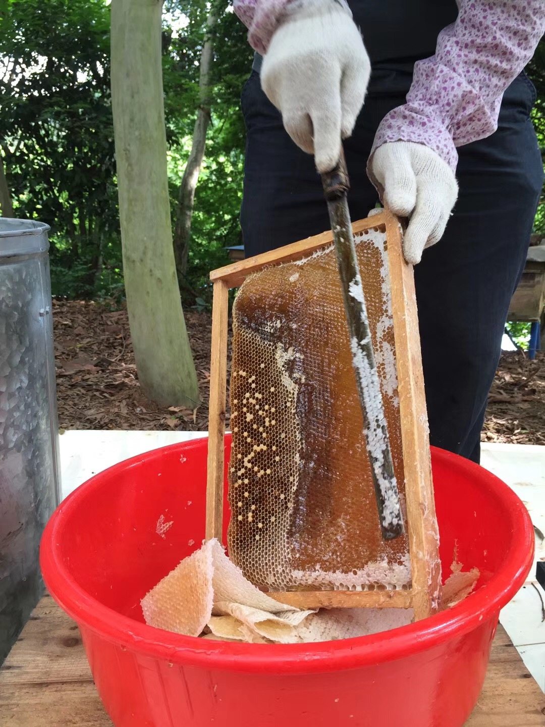 广州帽峰山蜂蜜出售，养蜂人15年经验
