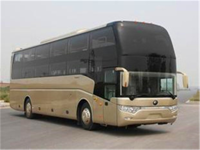 贴心服务郑州到莱芜长途大巴车2020欢迎乘坐