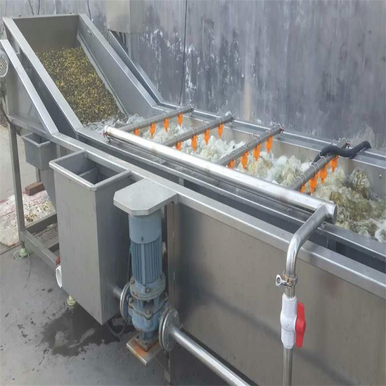 潍坊厂家供应连续式蔬菜清洗机 青萝卜气泡清洗机