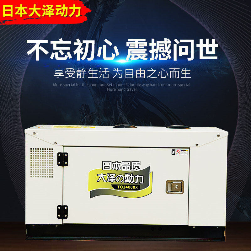 大泽动力10kw柴油发电机TO14000ETX