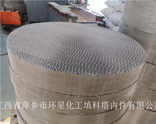 新疆某煤化工张总考察洗苯塔,脱硫塔,再生塔等装置填料