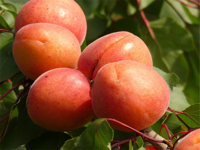 横幅横幅 横幅横幅