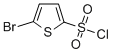 5-溴噻吩-2-磺酰氯 CAS:55854-46-1