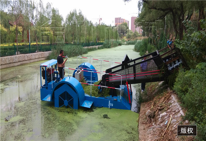 大型水葫芦收割船 小型割草船厂家定制 水草收割*