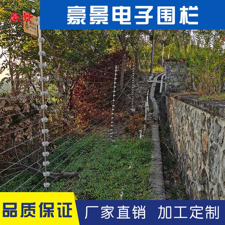 广州果园触网电子围栏图片