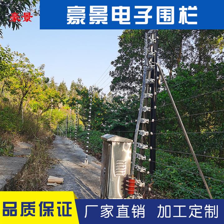 阳江2米高电子围栏工程定制 别墅电子围栏安装图片