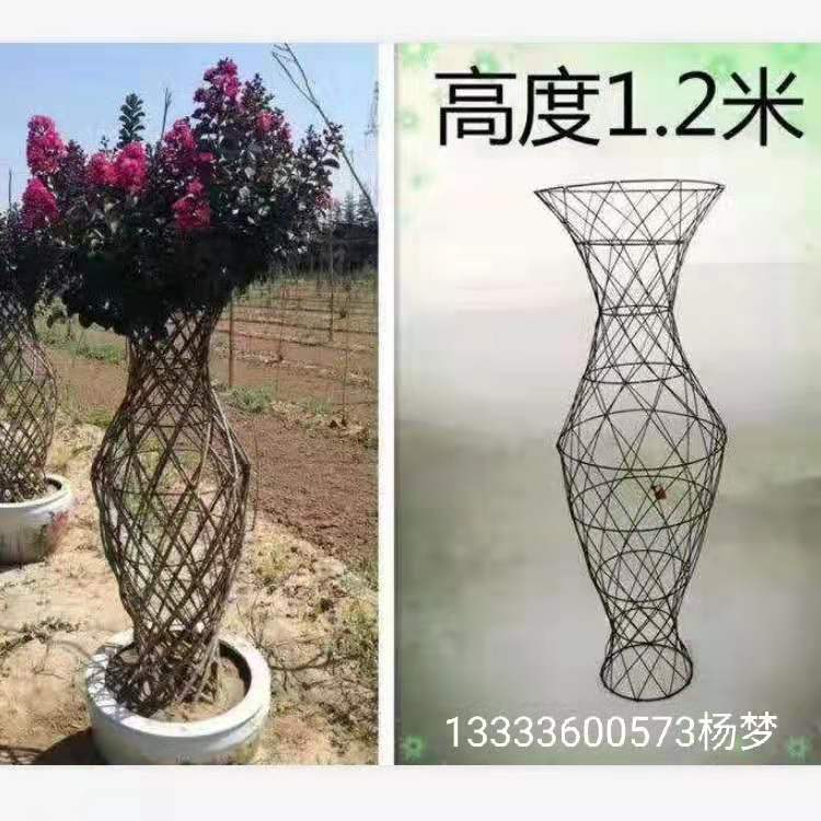 紫薇花瓶，植物编织，紫薇花瓶骨架造型艺术分享
