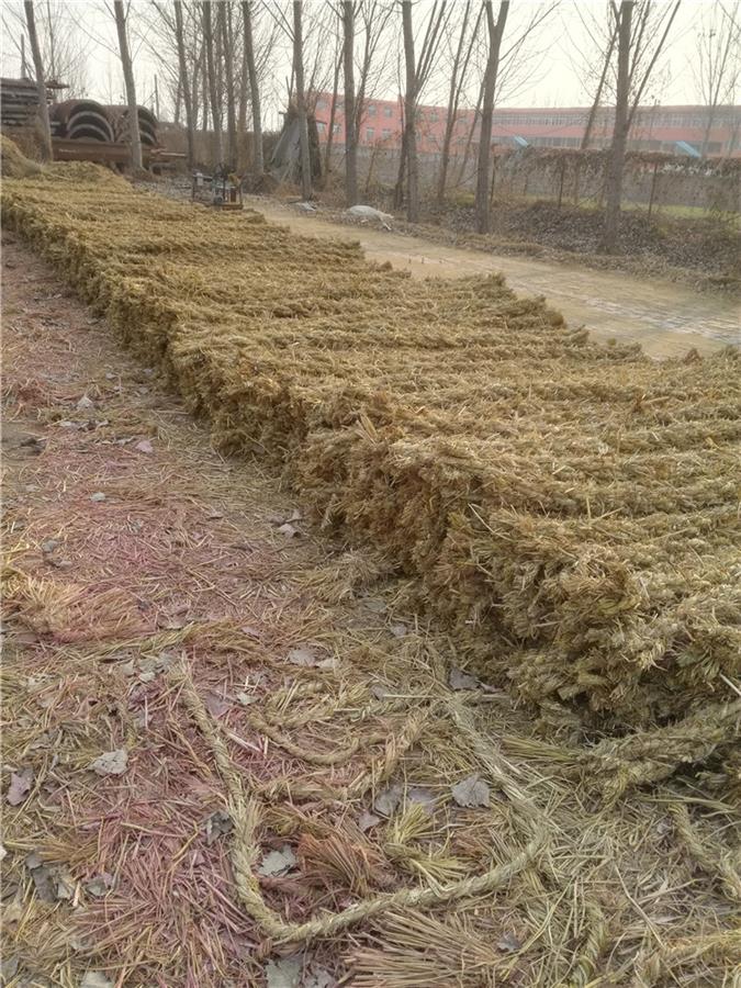 锡林郭勒盟条形草支垫生产厂家 草枕 欢迎致电