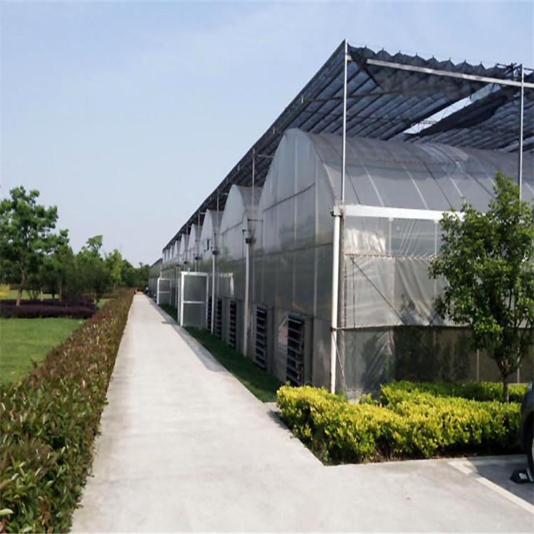 青州pc板大棚 青枣种植大棚 连栋式结构大棚 辉腾温室