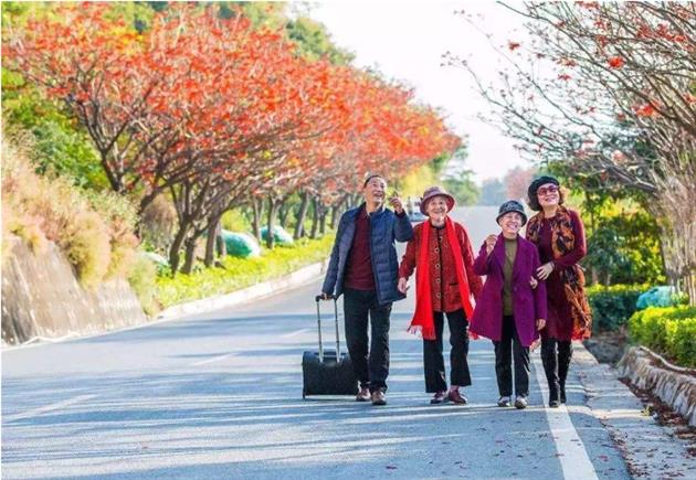 北京康养旅游策划成功案例 主题公园修建