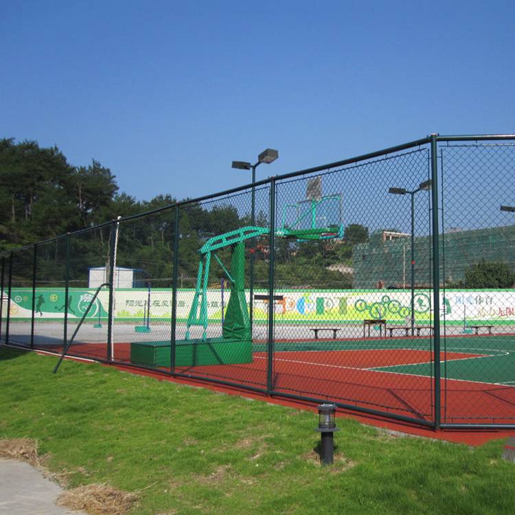绿色浸塑勾花网 勾花框架护栏网 学校球场防护栏