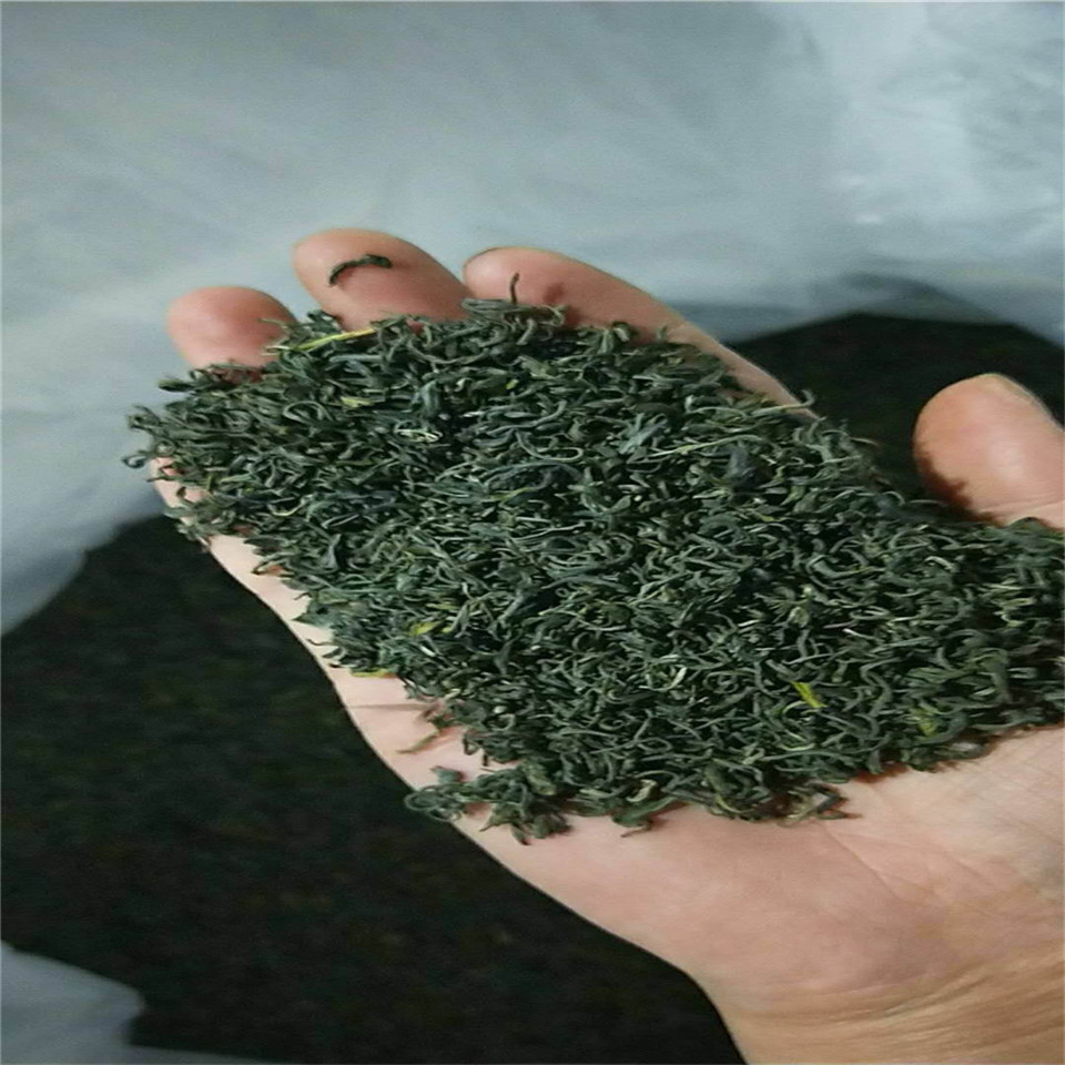 供应绿茶山区茶叶