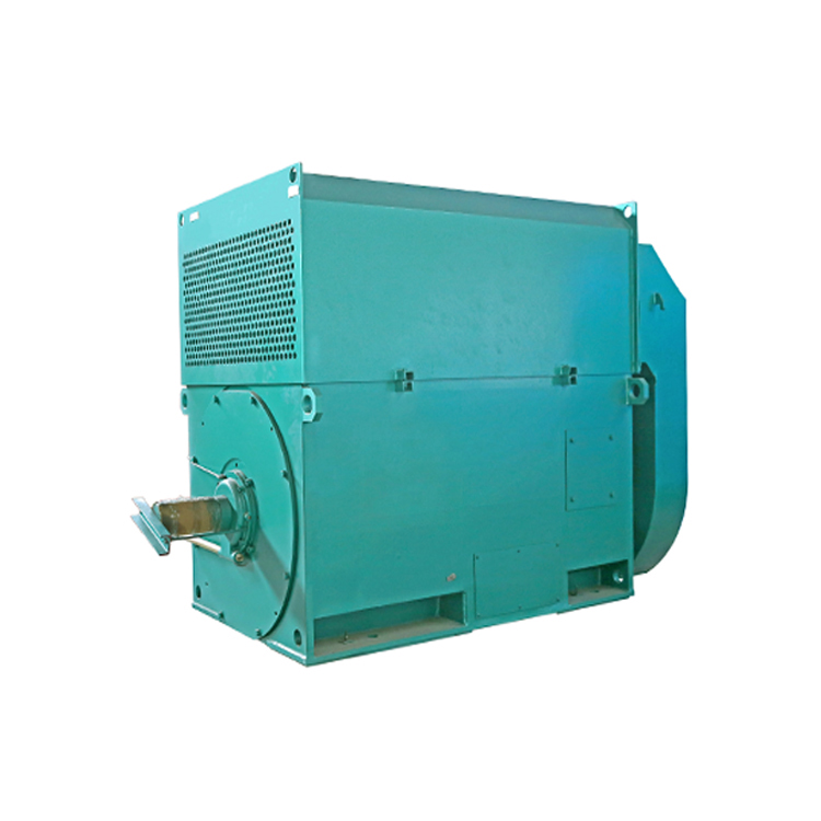 西安西玛Y系列高压电机Y4508-10 315KW 6KV-10KV