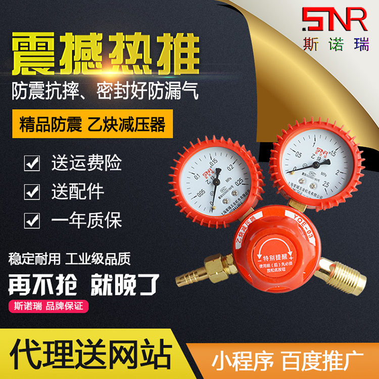 上海斯诺瑞乙炔表减压器yqe-03乙炔减压阀减压表