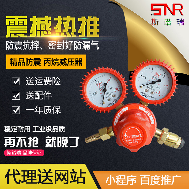 上海丙烷表减压器yqw-02丙烷减压阀减压表