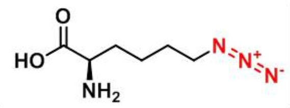 1418009-93-4,6-Azido-D-lysine HCl,H-d赖氨酸N3.