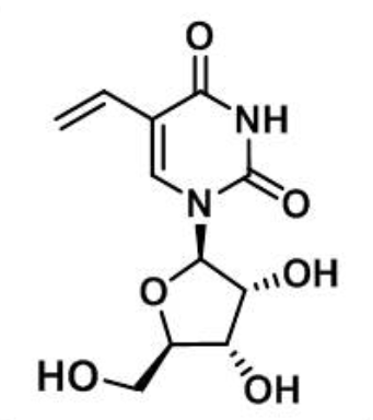 5-vinyl-uridine,5-基尿苷,55520-64-4