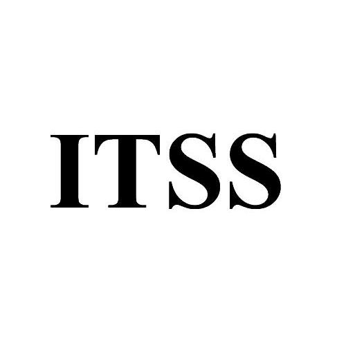 烟台企业办理ITSS评估发现的7大问题及提出4点建议