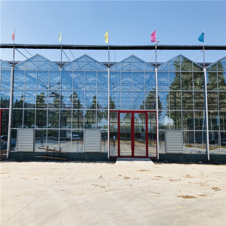 生态餐厅温室 中建农业 温室大棚供应商 玻璃餐厅温室价格