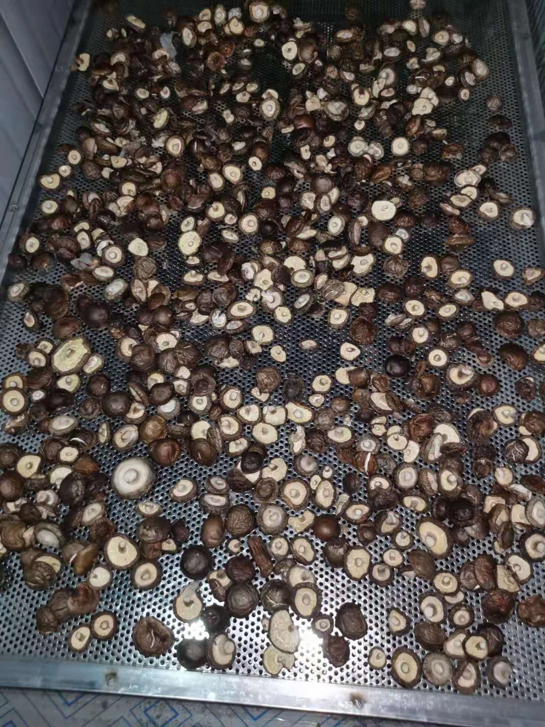 香菇蘑菇烘干房设备厂家价格香菇蘑菇怎么烘干