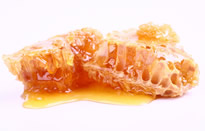 上海蜂蜜进口海运费是多少？
