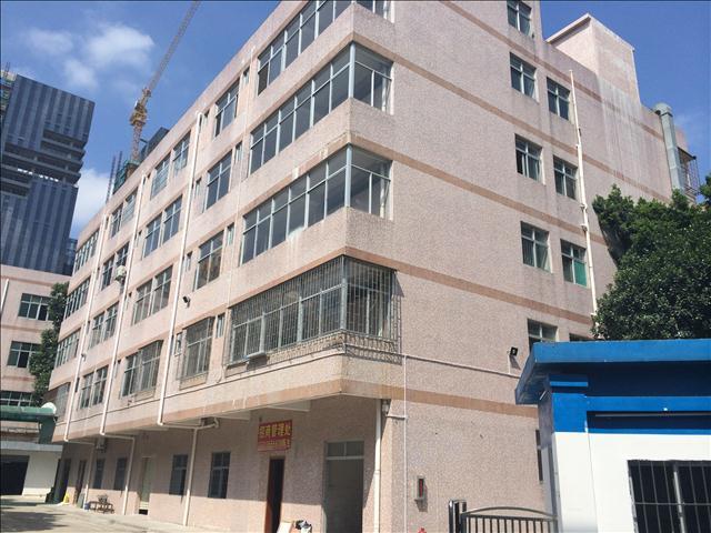 提供的房屋鉴定报告 巴音郭楞若羌县餐饮行业房屋检测