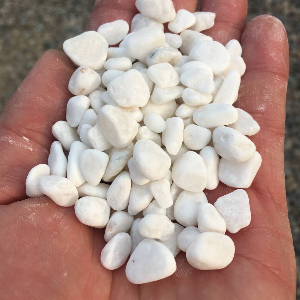 铺地用白色石子1-3厘米 水族鱼缸底白色鹅卵石厂家现货销售