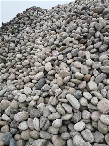 黑龙江树坑鹅卵石