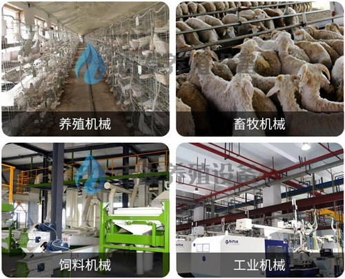 浙江养鸡绞龙料线厂家 创新服务 临沂市兰山区吉发养殖设备供应