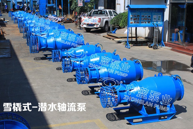 建雨水泵站用潜水轴流泵成套设施供应厂家