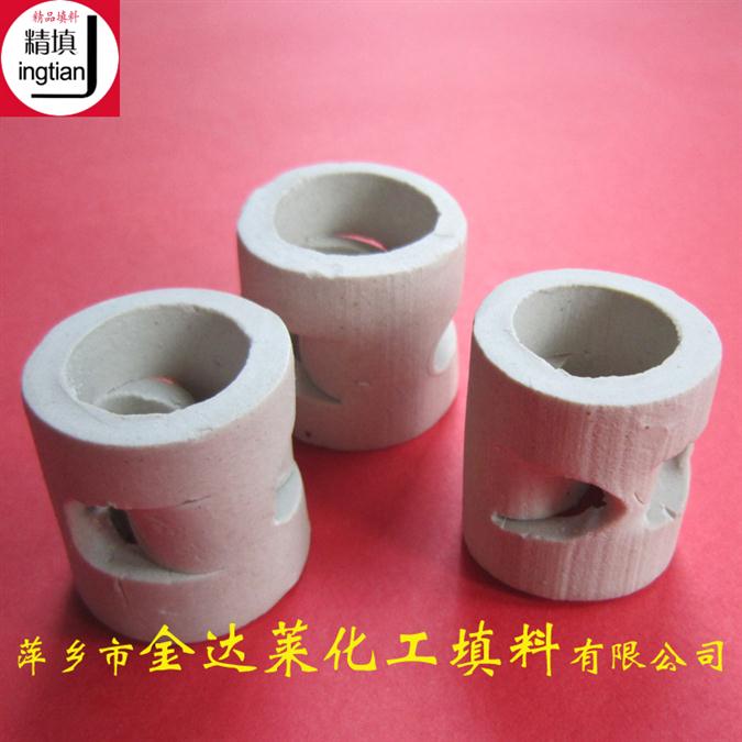 郑州高强度陶瓷鲍尔环价格 陶瓷鲍尔环填料 技术成熟 质量稳定