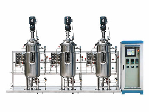 5L固体发酵罐 多年的发酵设备制造经验