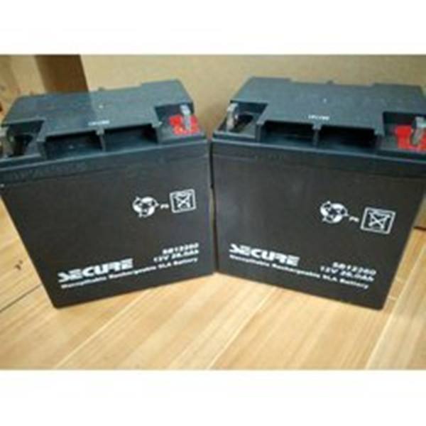 安全蓄電池SB121000 12V100AH技術參數