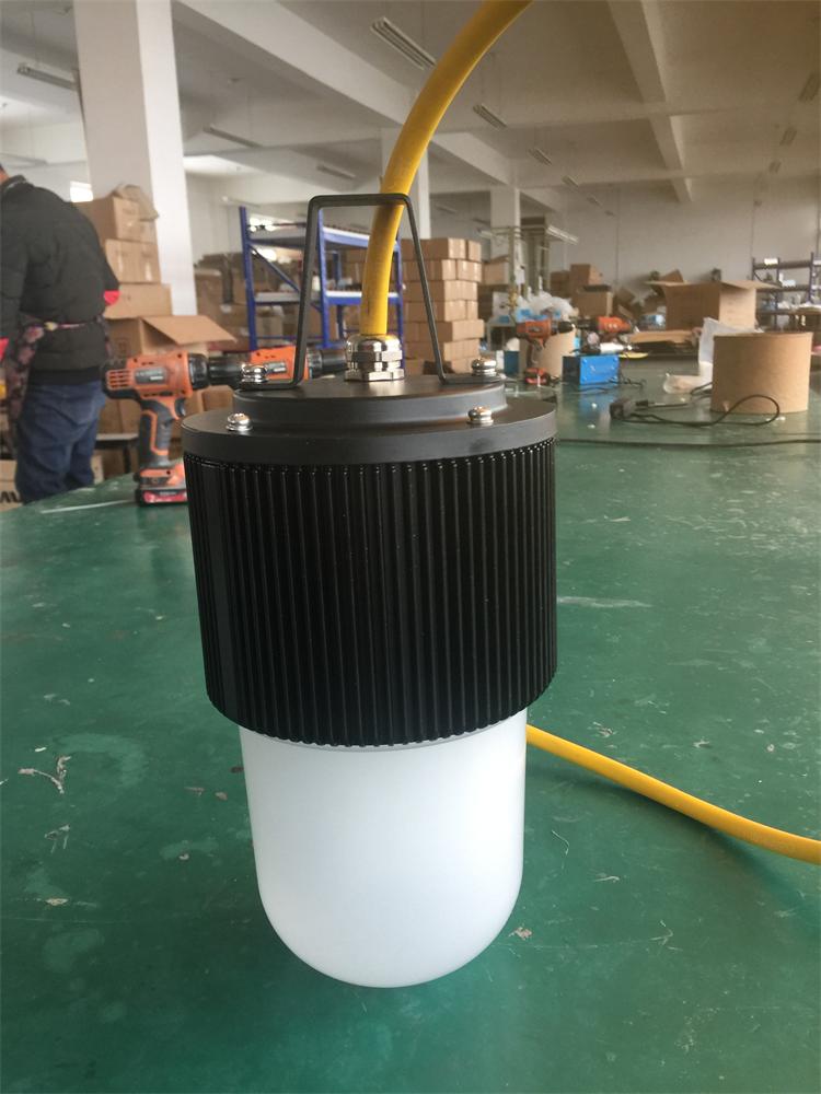 防爆行灯FW6320防水防尘行灯 三防灯50W 作业检修灯船用大功率行灯